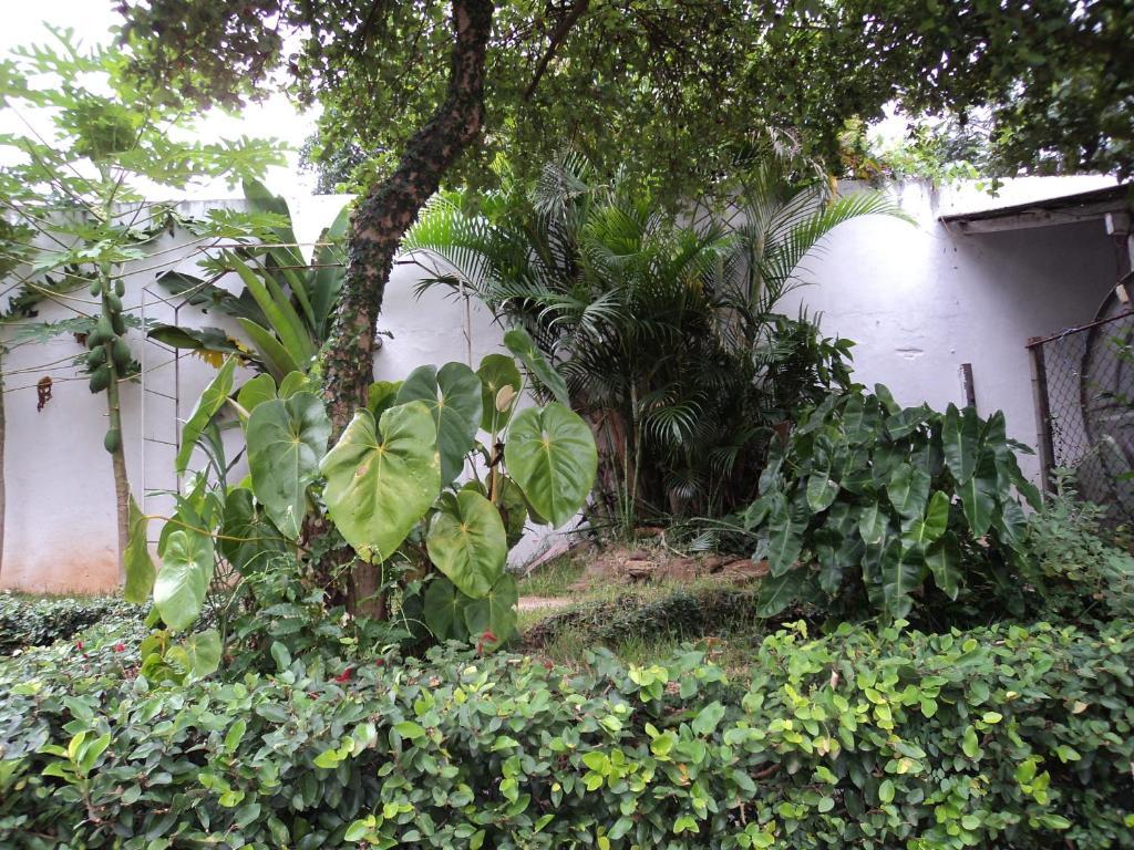 Iguassu Central Flats Foz do Iguaçu Eksteriør billede
